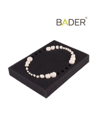 Set 24 Dientes Reposición tipo AK-6 Niño Bader