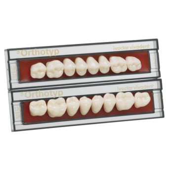 SR ORTHOTYP post inf N4 220