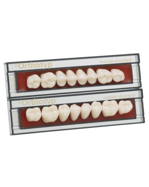 SR ORTHOTYP post inf N2 310