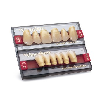 SR VIVODENT ant inf A8 230