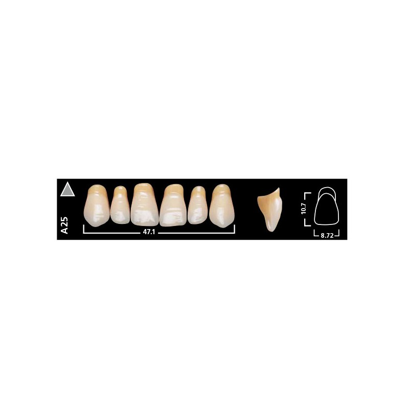 SR VIVODENT ant sup A25 240