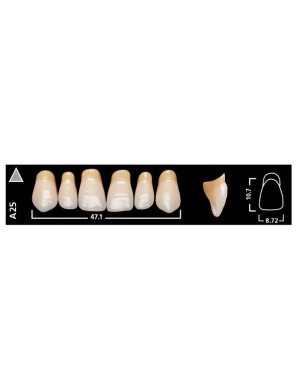 SR VIVODENT ant sup A25 240