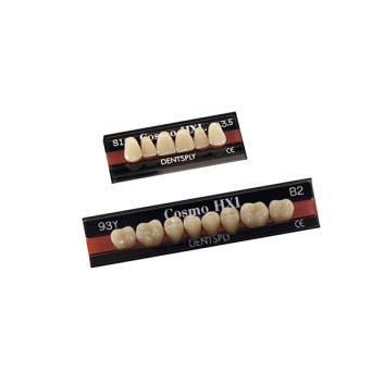 COSMO HXL ant inf L13 D4