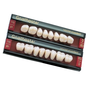 GNATHOSTAR A-D post sup D88 C4