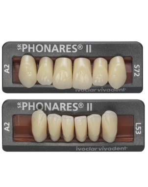 SR PHONARES II ant sup S83 BL4