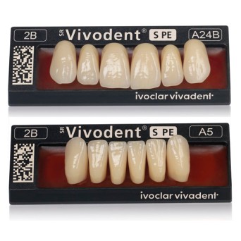 SR VIVODENT S PE ant sup A22 6B
