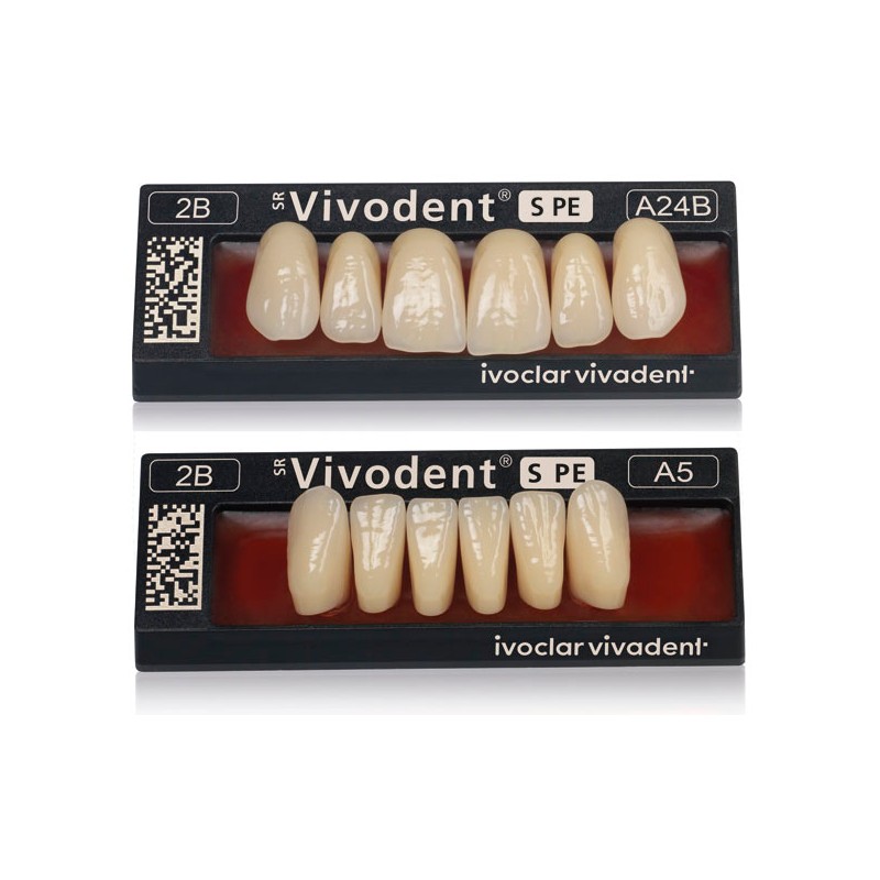 SR VIVODENT S PE ant sup A24B 1D