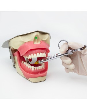 Simulador de Anestesia Dental Bader