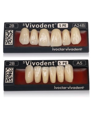 SR VIVODENT S PE ant sup A68 2A