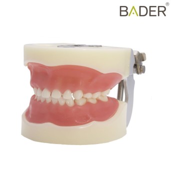 Tipodonto infantil tipo Nissin® Bader