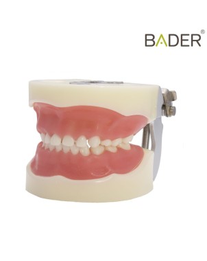 Tipodonto infantil tipo Nissin® Bader