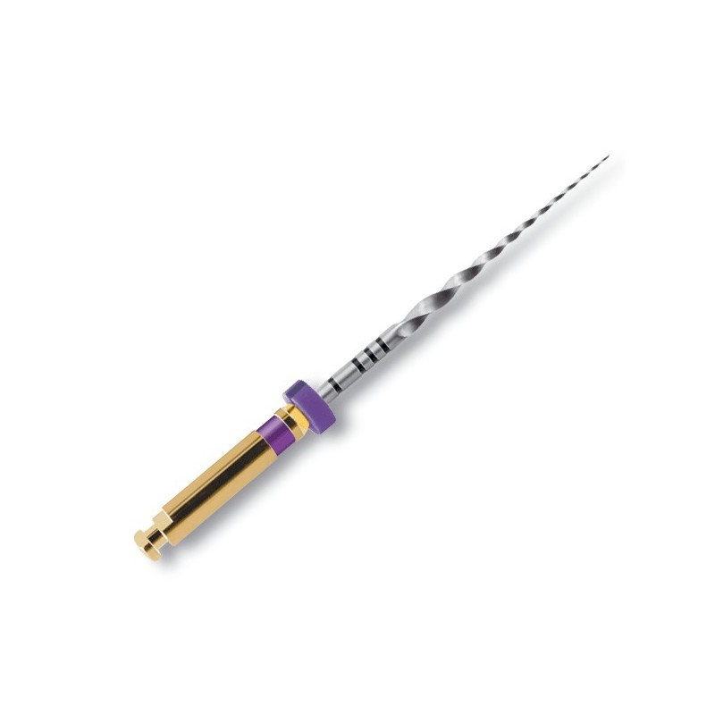 PROTAPER 21 mm S1 limas preparacion 6 ud