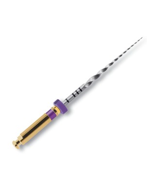 PROTAPER 21 mm S1 limas preparacion 6 ud