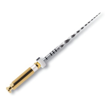 PROTAPER 25 mm S1 limas preparacion 6 ud
