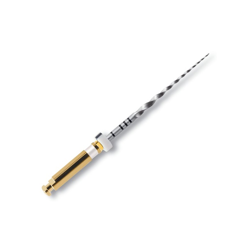 PROTAPER 25 mm S1 limas preparacion 6 ud