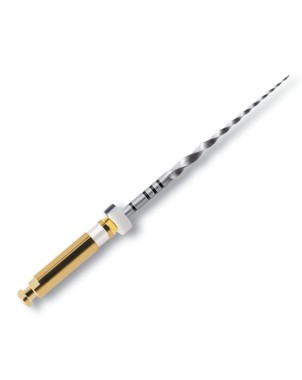 PROTAPER 25 mm S1 limas preparacion 6 ud