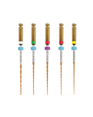 LIMA B5 ONE RECI 31mm esteril surtido 5ud