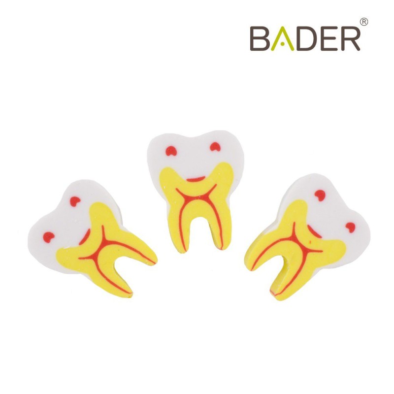 Goma molar BADER