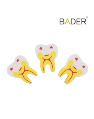Goma molar BADER