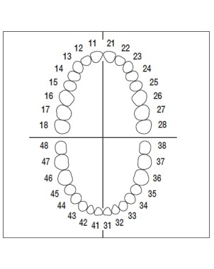 AG3ZE010 nº 15 dientes 10 ud