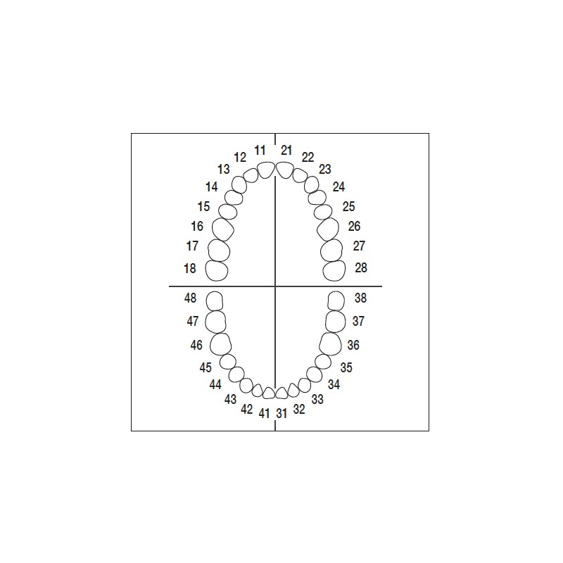 AG3ZE010 nº 16 dientes 10 ud