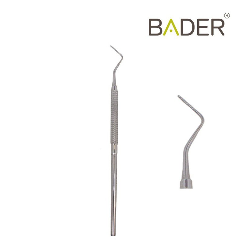 Sonda Williams BADER