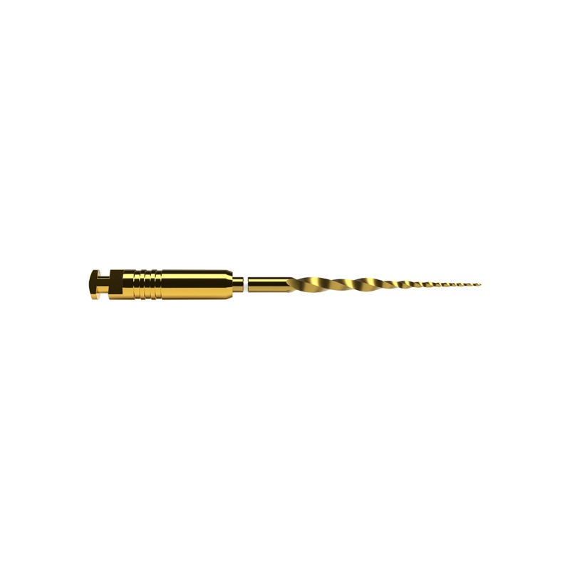 PROTAPER ULTIMATE SX 19 mm 6 ud