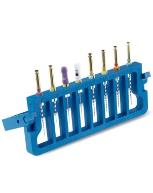 PROTAPER organizador