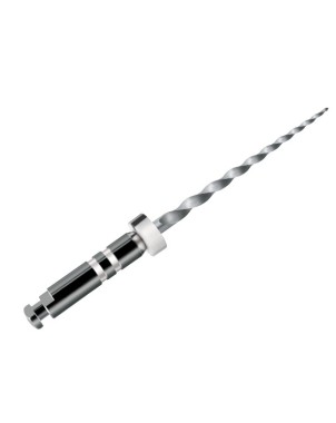 PROTAPER 18 mm D2 retratamiento 6 ud