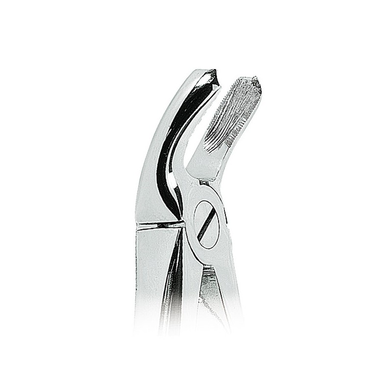 0100-20 FORCEPS MOLARES INF.