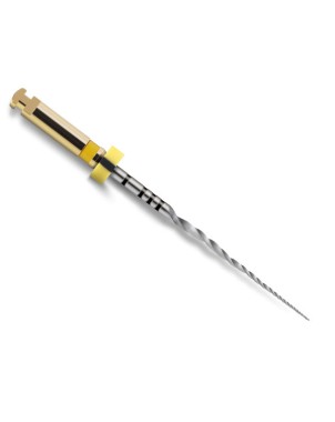 PROTAPER NEXT 25 mm X1 lima esteril 6 ud