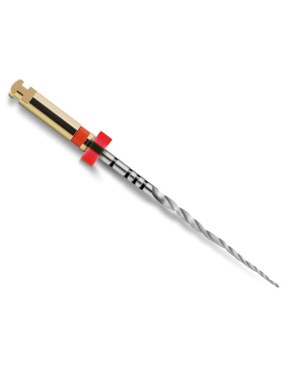 PROTAPER NEXT 21 mm X2 lima esteril 6 ud