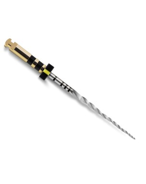 PROTAPER NEXT 25 mm X4 lima esteril 6 ud