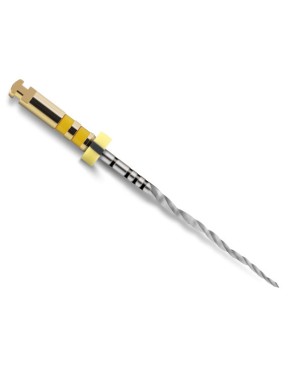 PROTAPER NEXT 31 mm X5 lima esteril 6 ud