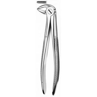 FORCEPS MARTIN 33A mod grande raices inferiores