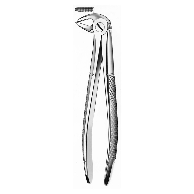 FORCEPS MARTIN 33A mod grande raices inferiores