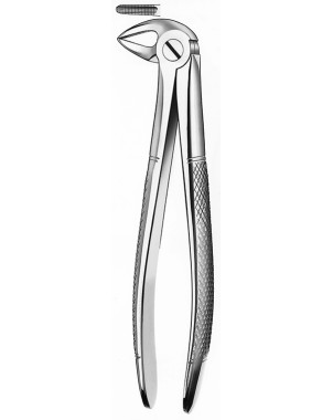 FORCEPS MARTIN 33A mod grande raices inferiores