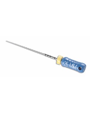 LIMAS HEDSTROEM VDW esteril 25 mm 30 6 ud