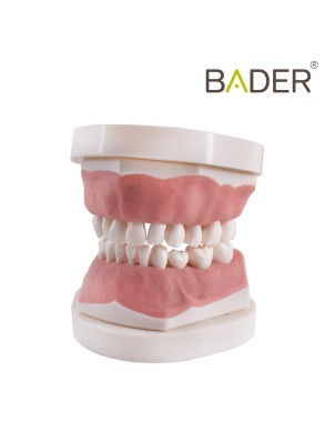 Tipodonto infantil AK6 Bader con placa base