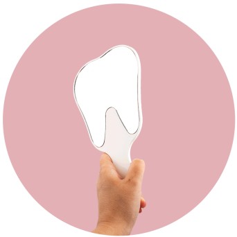 Espejo molar Endy BADER