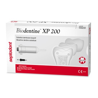 BIODENTINE XP 200 piston negro 10 ud