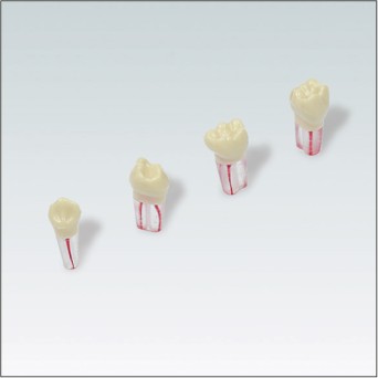 AK6/2ZPUF Nº 85 10 ud
