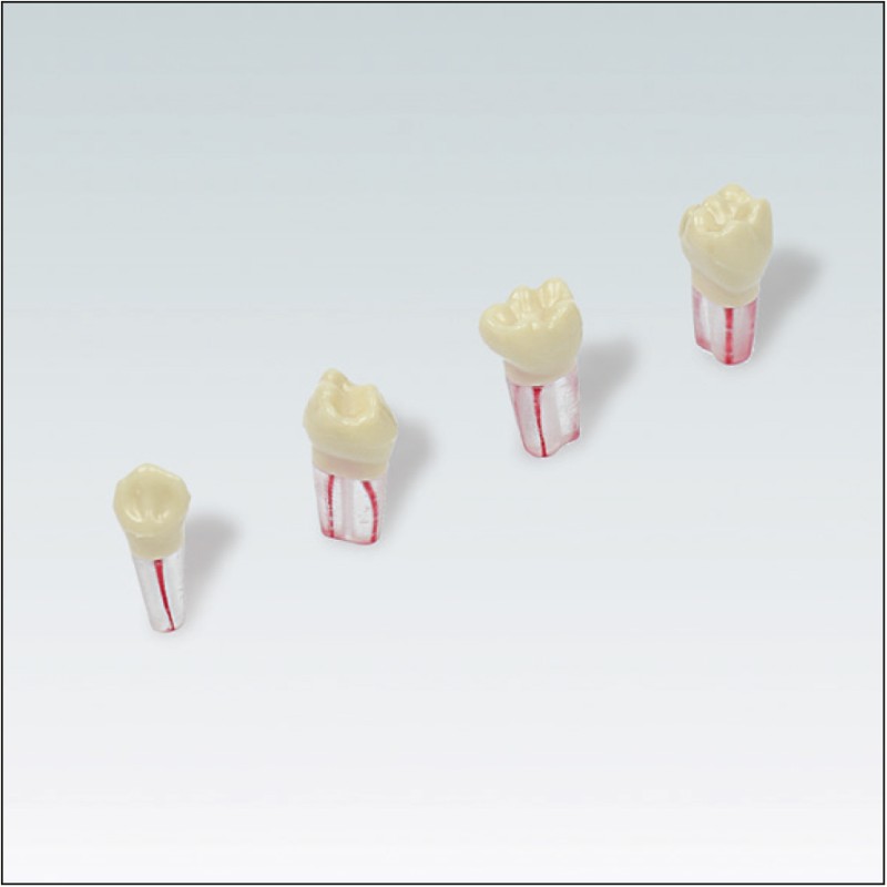 AK6/2ZPUF Nº53 10 ud