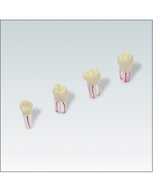 AK6/2ZPUF Nº53 10 ud
