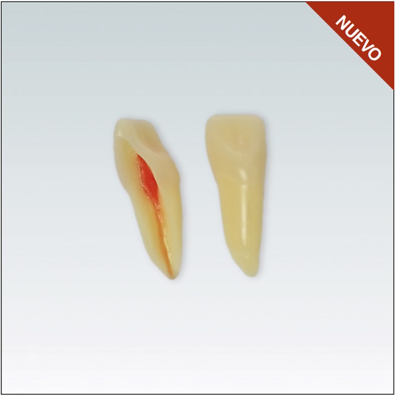 ANA4Z3RN11 Nº11 endo c/raiz natural apto RX 3 capas 10ud
