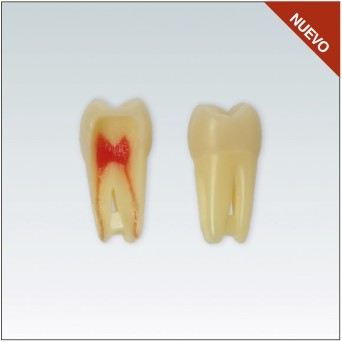 ANA4Z3RN16 Nº16 endo c/raiz natural apto RX 3 capas 10ud