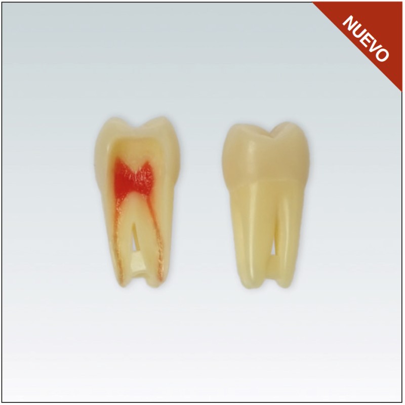 ANA4Z3RN16 Nº16 endo c/raiz natural apto RX 3 capas 10ud