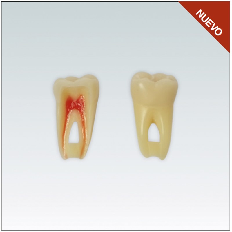 ANA4Z3RN36 Nº36 endo c/raiz natural apto RX 3 capas 10ud