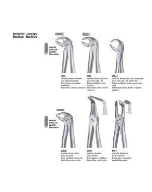 LS22 FORCEPS MOLAR INF. LIQUID STEEL