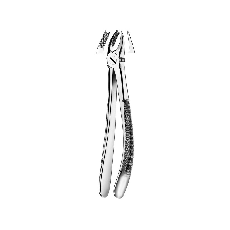 89 FORCEPS MOLAR SUPERIOR DCHA